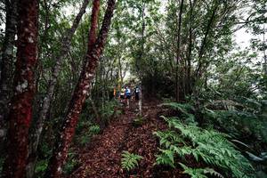 BIB: 
                            <button type="button" onclick="openModal(26201143)" class="btn btn-primary btn-sm float-right btn-popup" data-toggle="modal" data-target=".modal-high-quality">
                        <i class="fas fa-shopping-cart"></i> Add to Cart
                    </button>
                                            <button type="button" onclick="isThisMe(26201143, true)" class="btn btn-success btn-sm float-right btn-popup btn-isme hidden" data-toggle="tooltip" data-placement="bottom" title="นี่คือรูปของคุณใช่ไหม คลิกที่นี่เพื่อเอาเข้าอัลบั้ม">
                        <i class="fas fa-plus"></i> Add to album
                    </button>
                    <button type="button" onclick="isThisMe(26201143, false)" class="btn btn-warning btn-sm float-right btn-popup btn-isnotme hidden">
                        <i class="fas fa-ban"></i> Remove from album
                    </button>